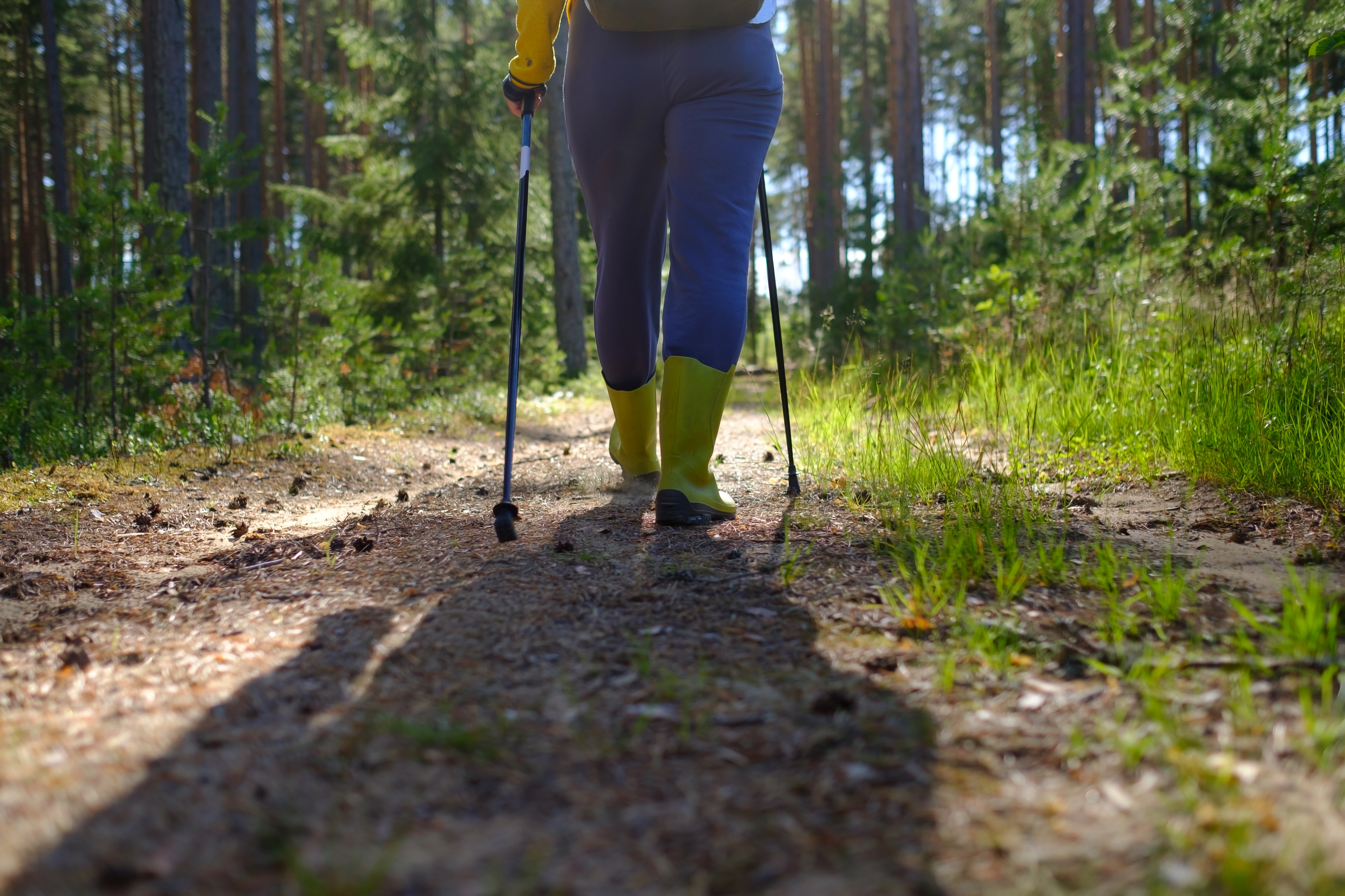 9 Benefits Of Pole Walking For Seniors