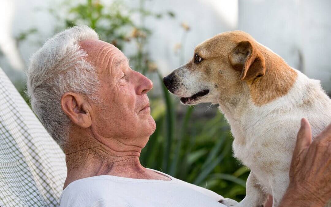 ￼Best Dogs for Seniors And Children